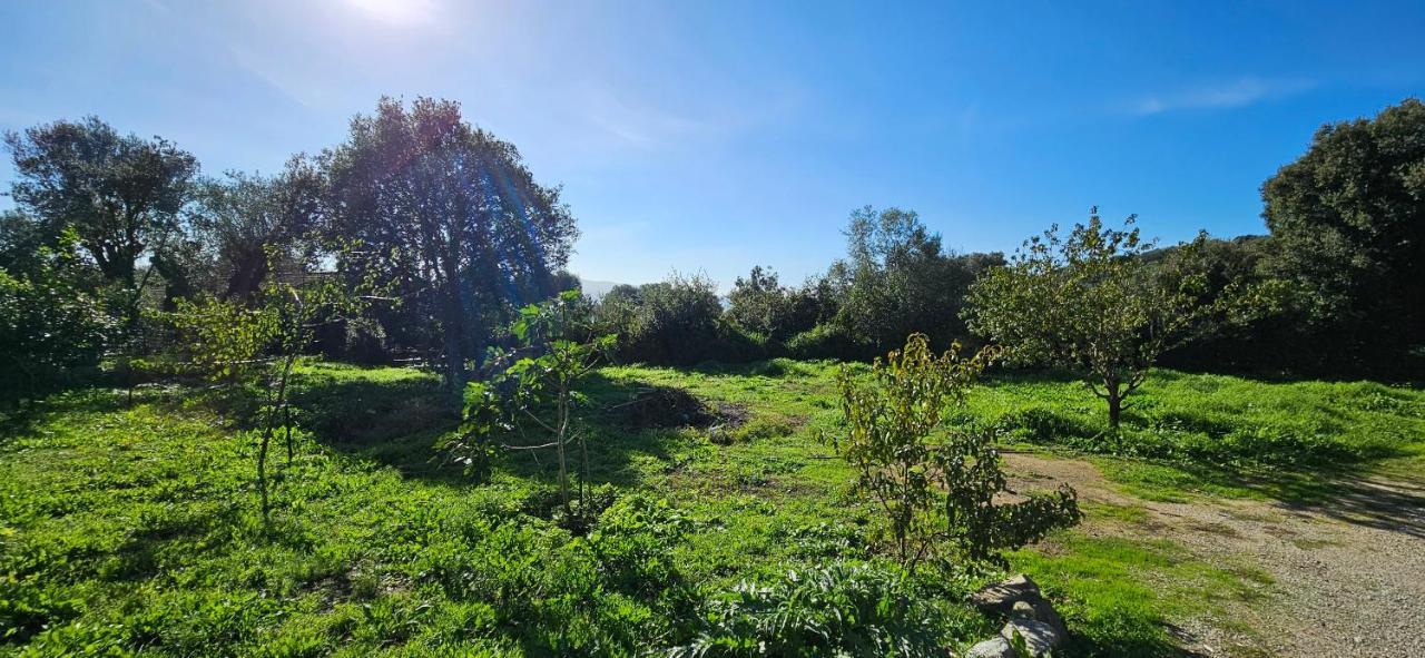 T3 Paisible Quartier Vigna Maggiore, Olmeto Olmeto  Zewnętrze zdjęcie
